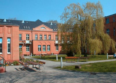 View of the clinic garden